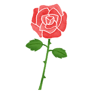 薔薇（バラ）