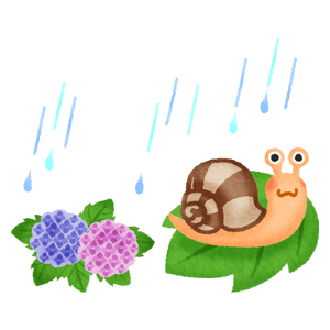 Snail and hydrangea