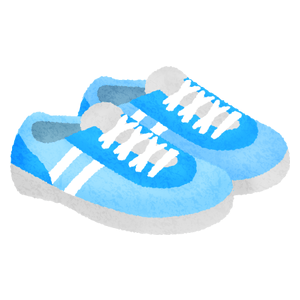 Zapatillas deportivas / Zapatillas de deporte