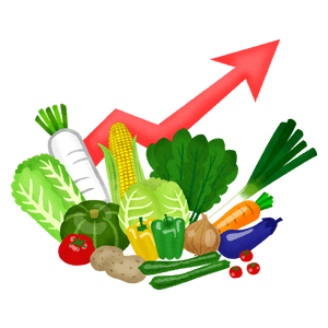 Aumento de precios en las verduras